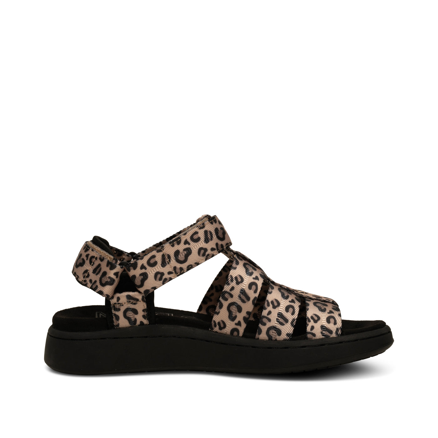 WODEN Line Fisherman Sandals 327 Leopard